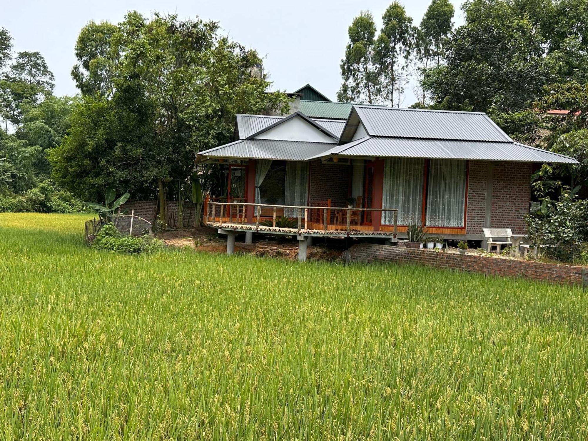 Vulinh Family -Homestay Yen Binh Екстериор снимка