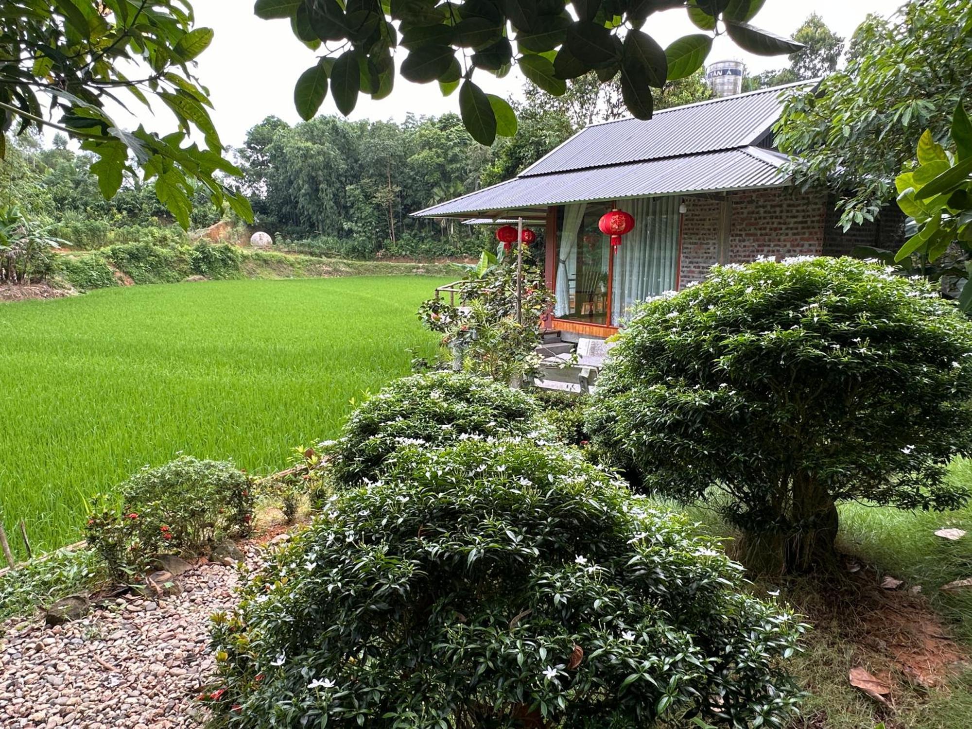 Vulinh Family -Homestay Yen Binh Екстериор снимка