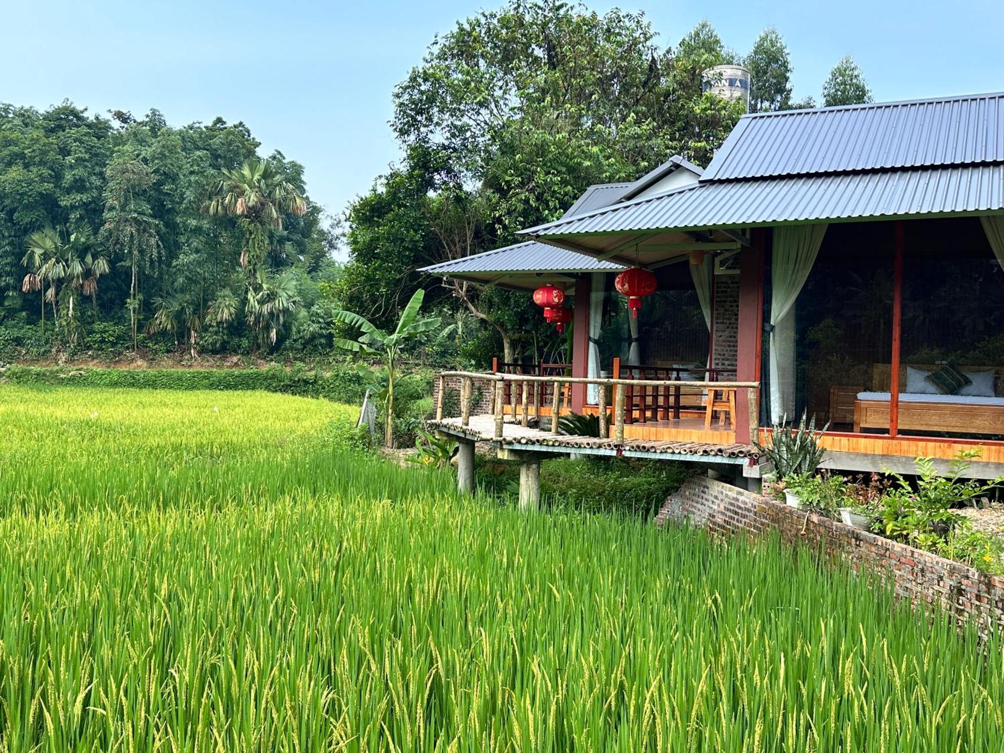 Vulinh Family -Homestay Yen Binh Екстериор снимка